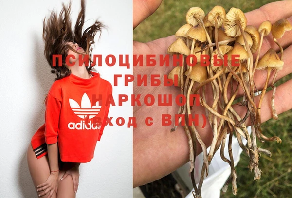кокаин колумбия Алзамай