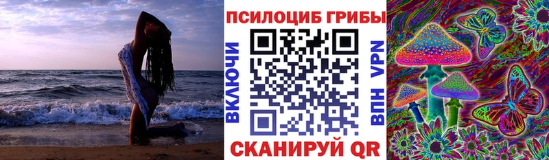 Галлюциногенные грибы GOLDEN TEACHER  даркнет сайт  Дятьково 