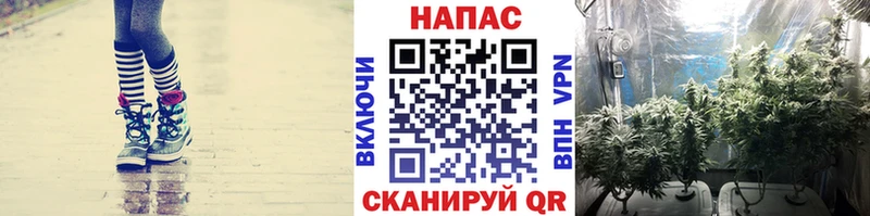 Шишки марихуана сатива  hydra ССЫЛКА  Дятьково 